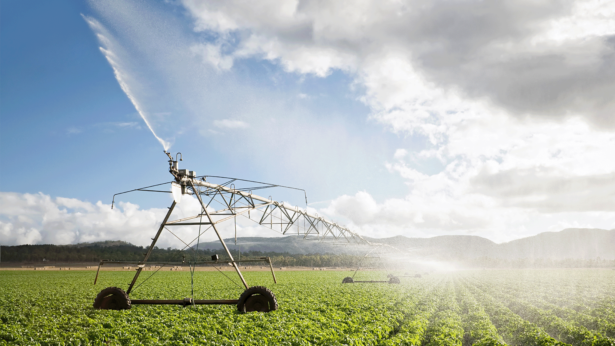 Una máquina de regadía en un campo de cultivo