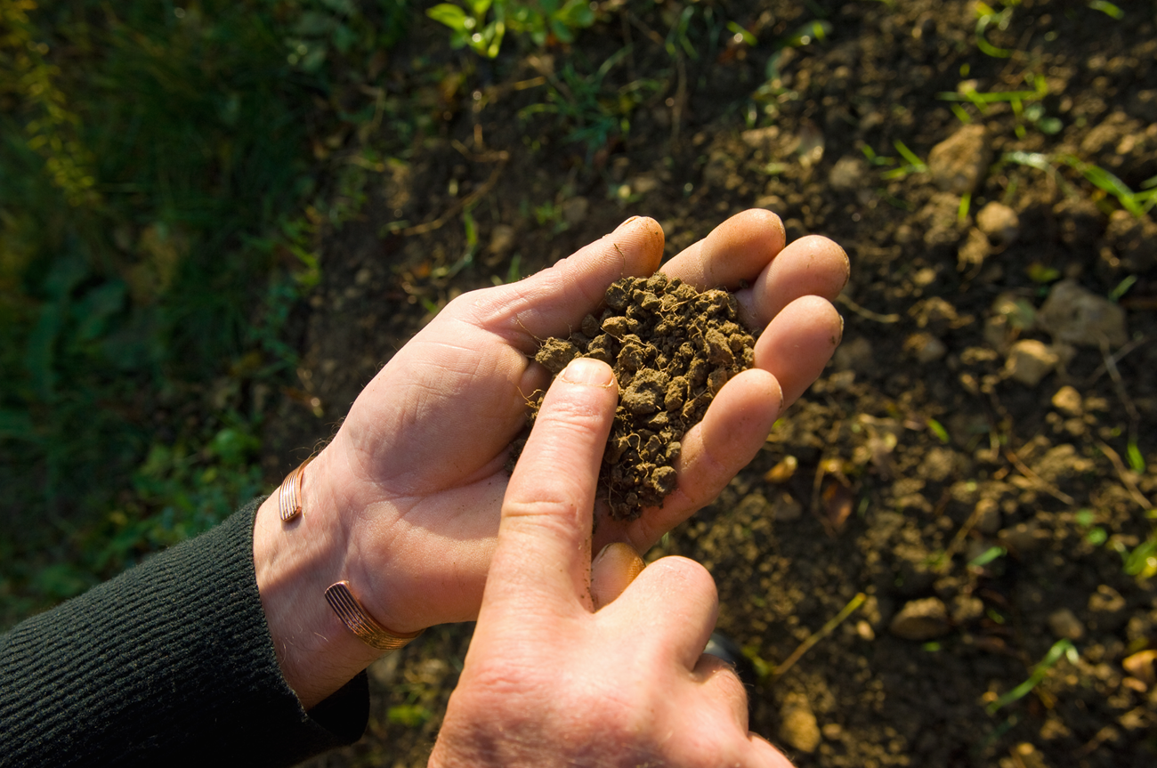 dos manos sujetando un trozo de tierra para cultivo