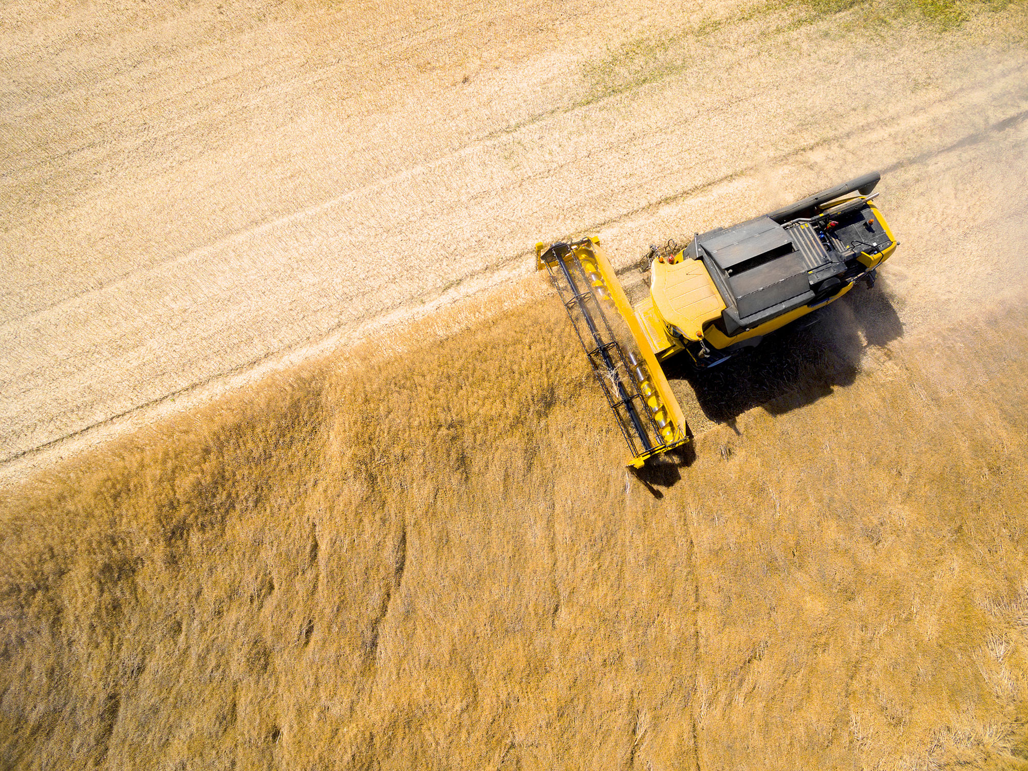 Campo de cultivo con un tractor amarillo